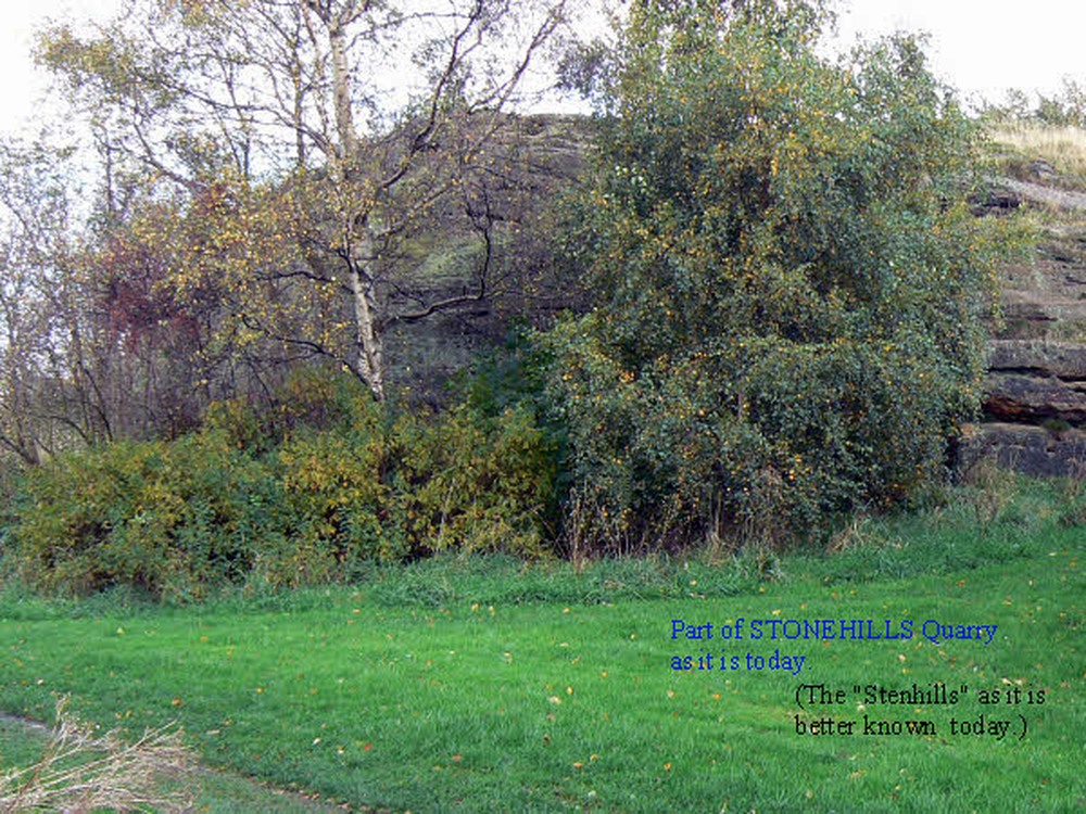 Old quarry 3